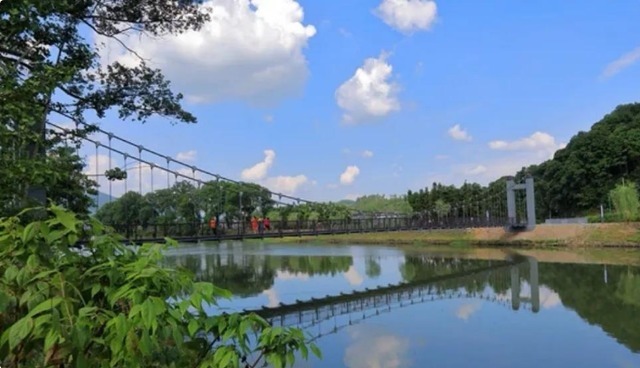 芒果台新综艺捧红另类网红,获得央媒夸赞,为行业树立新标杆