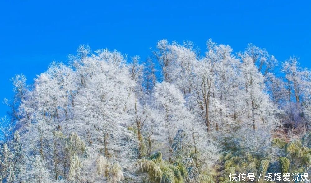 隆回雪峰山大花瑶景区白雪纷飞，银装素裹美醉了！