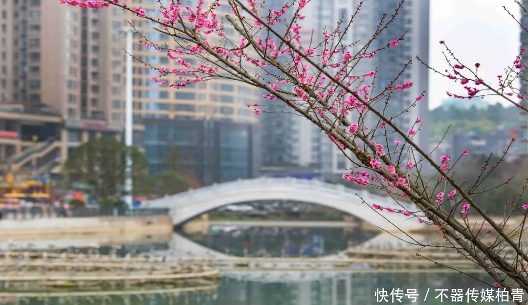 中年|春暖花开游贵州，“花花世界”惹人醉！