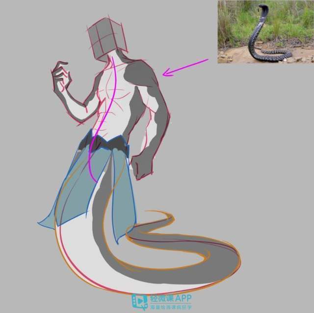 乏整体性|绘画初学者如何细化画面?轻松改善你的画