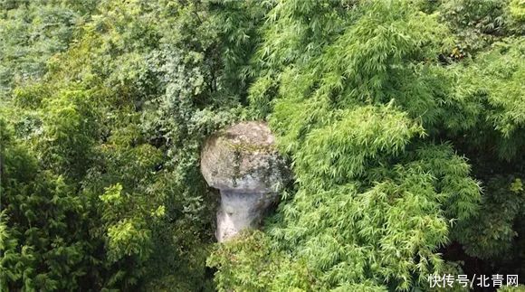 重庆|重庆神秘大佛藏深山，专家现场勘查又发现另一处天然奇观