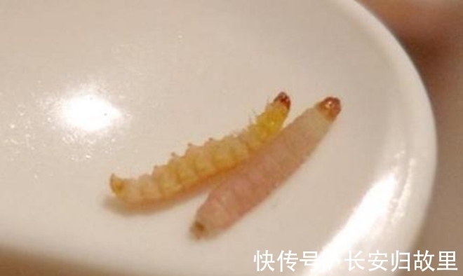 真相|女子晚上睡覺，嘴里跑出十幾條蟲子，到醫院檢查真相大白