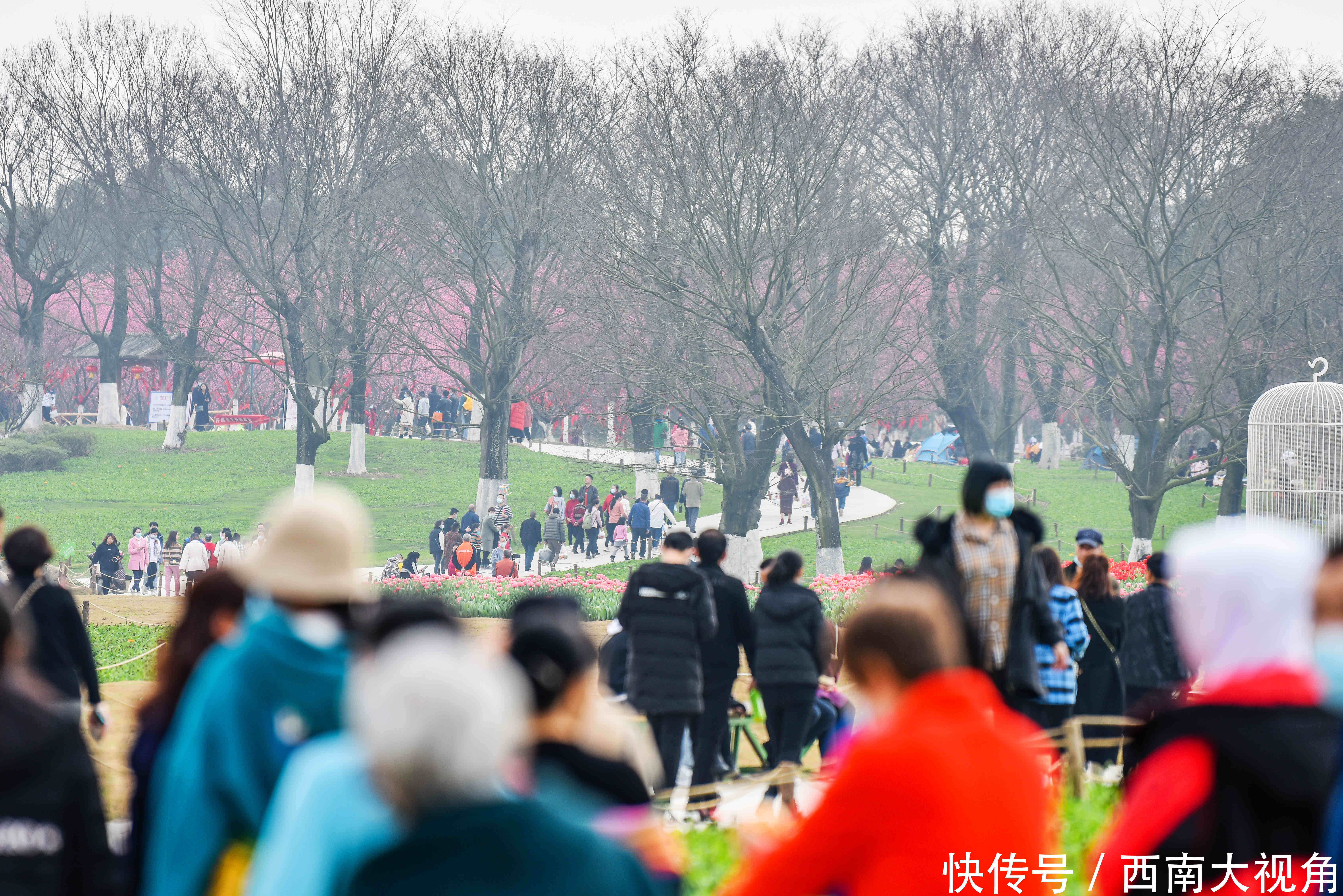 大年初一,秀丽东方风景如画、游人如织 再次提醒大家,请一定要提前一天转发和预约哦
