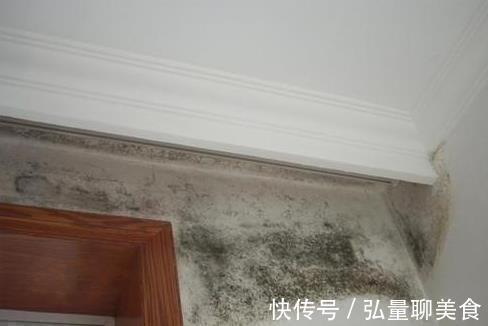 酒精|家里墙壁发霉别再傻傻花钱重刷，聪明人教你一招，省钱又好用