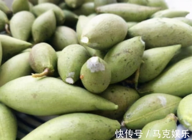 果皮|农村即将“消失”的野果子,吃过4种正常,全吃过的说明您真老了