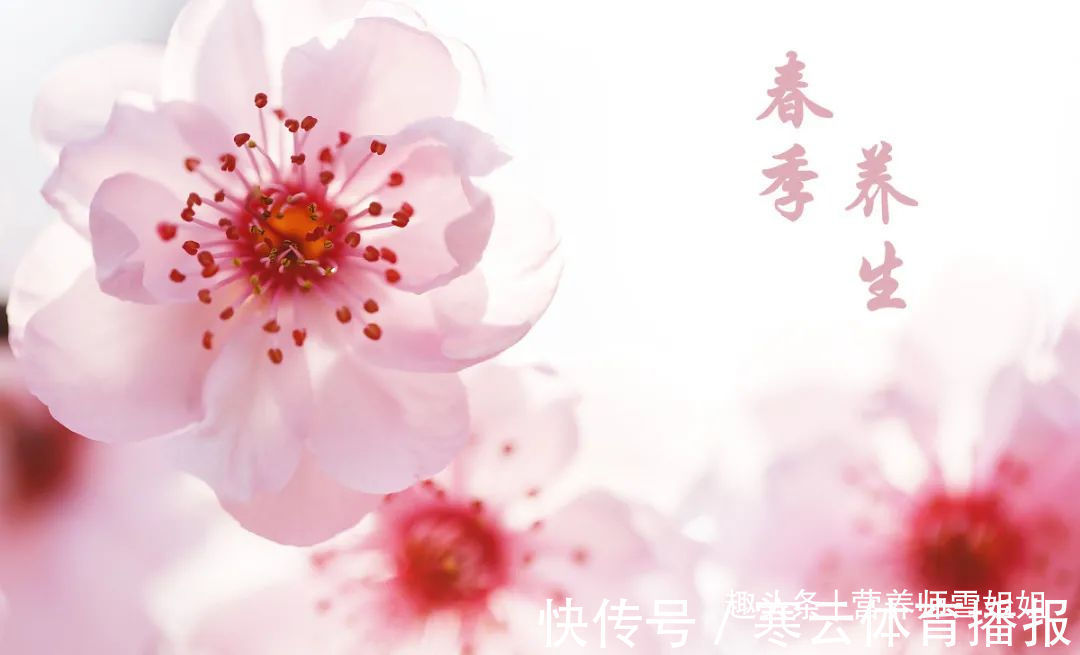 胆经|春分过后,为了健康,少吃一味,坚持二勤,养好三处,牢记四忌