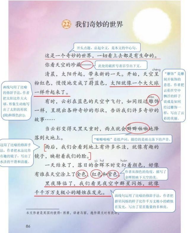 语文三年级（下册）课堂笔记