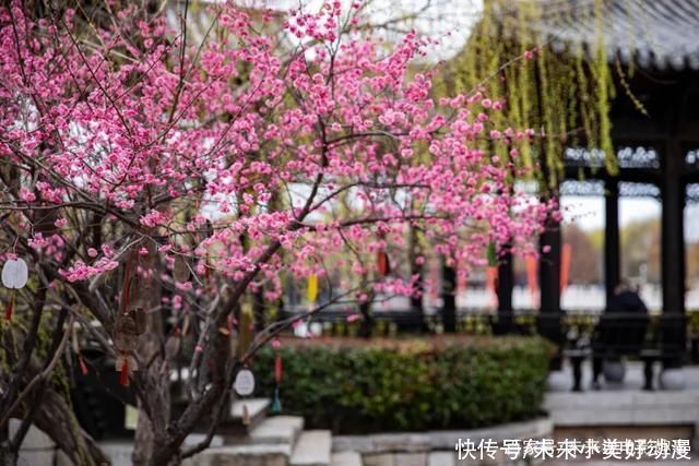 暖雨香风频相顾，正是踏春好时节