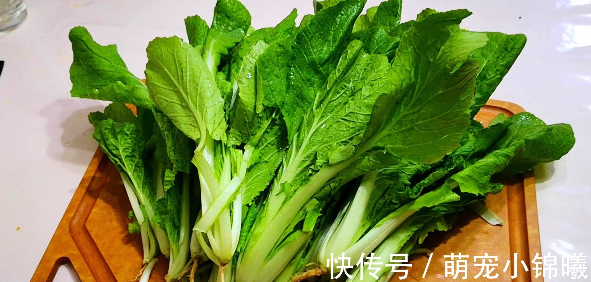 秋天,吃萝卜韭菜,不如多吃这菜,钙含量极高,包素包子吃真香啊