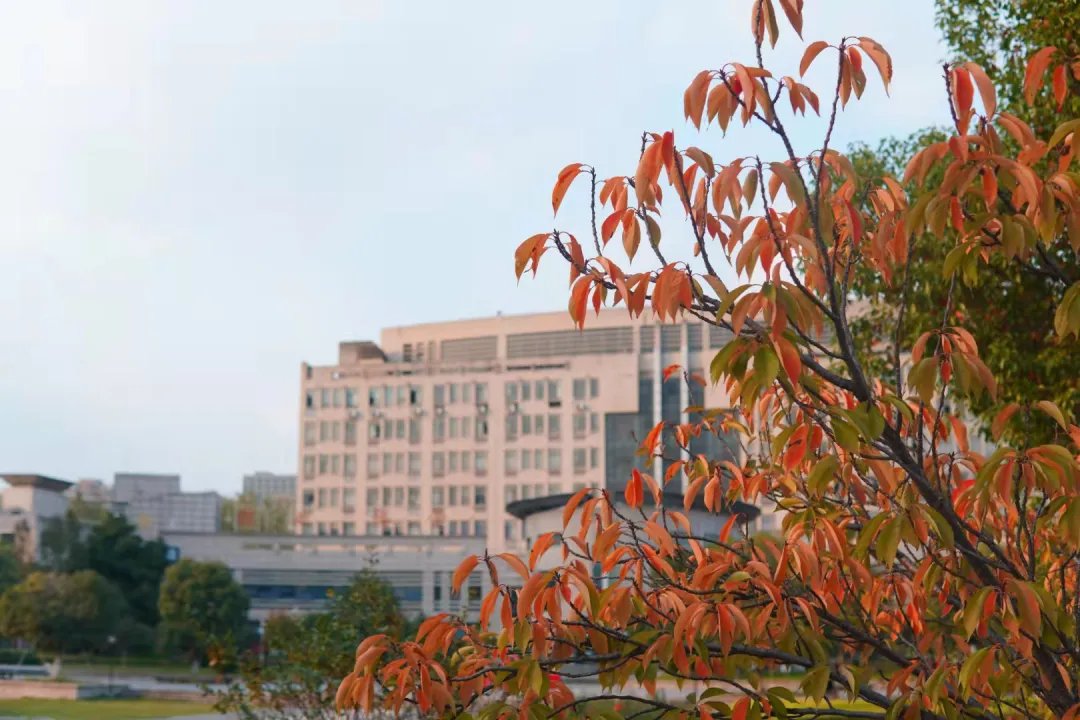 浙江水利水电学院|钱塘大学城秋景，美出圈！