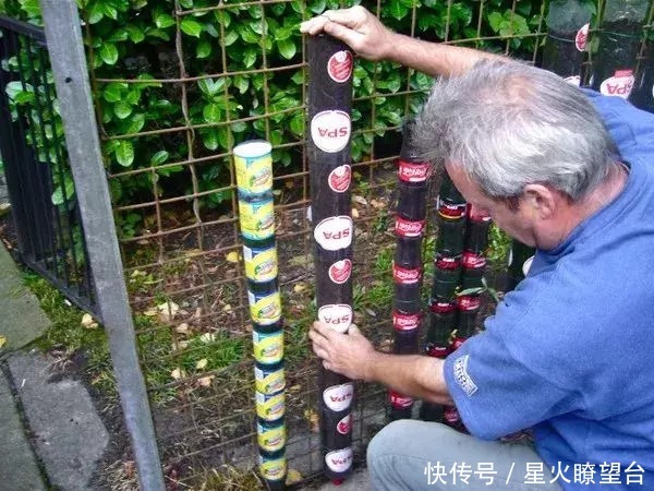 种菜|用废弃塑料瓶玩立体种植,既美味又美观