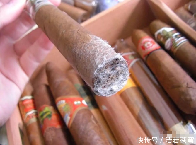 危害性最大的3種香煙,醫生給出建議,再喜歡抽煙也要遠離