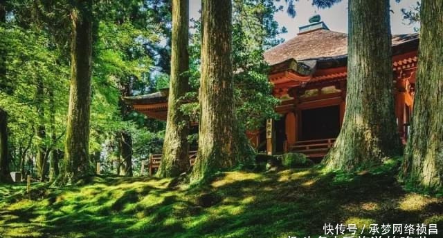 一份私藏交通攻略！京都游不可错过的景点！附上路线指南