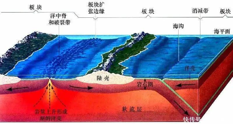 生物的秘密 板块运动对生物的塑造