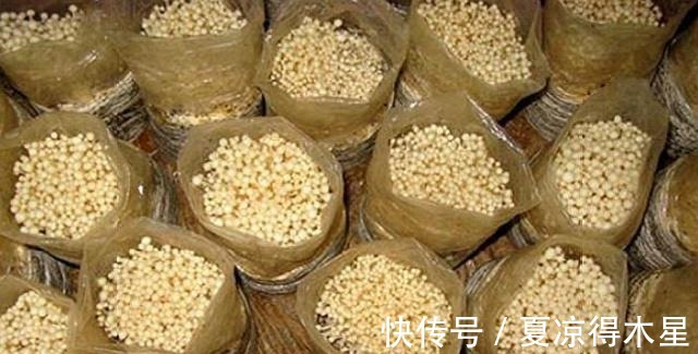 小窍门|很多人吃金针菇都会把根给丢了，学会这个小窍门，可以连吃一个月！