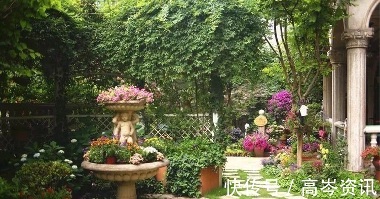 小区|坐拥270㎡大院子,她如何用五年时间,打造成了全小区最美的花园