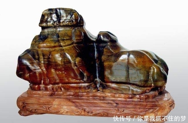 这条河里的石头真是太值钱了 很多石头都卖到上百万