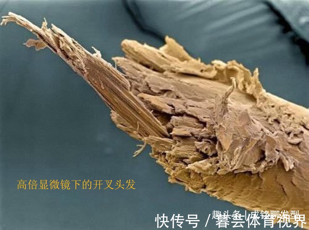 头发|经常染发的老年人,要养成这三个养护好习惯,头皮健康不伤发