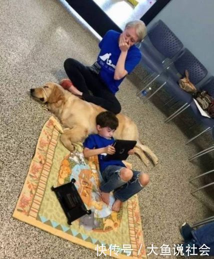 儿子|自闭儿子从不让人靠近,母亲送他条狗,画面让人感动
