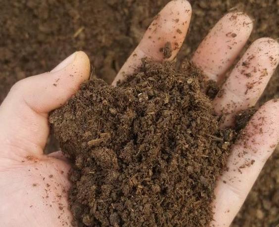 发酵鸡粪、羊粪、蚯蚓粪,到底该选哪一种?看完终于不再迷惑了