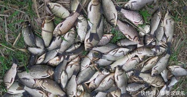 冬季|冬季钓鱼5大误区,遇上这些“坑”,一定记得绕道走!