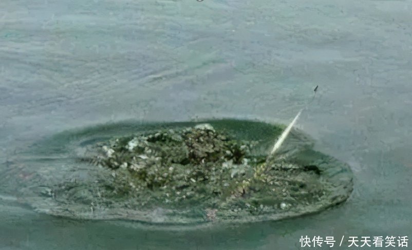 高低|调漂调高低的具体操作原则是什么？具体调漂说明了解一下！