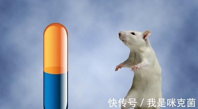 患者|疟疾治疗肿瘤是否真的有效还不明了，但用于人体之前还需三思