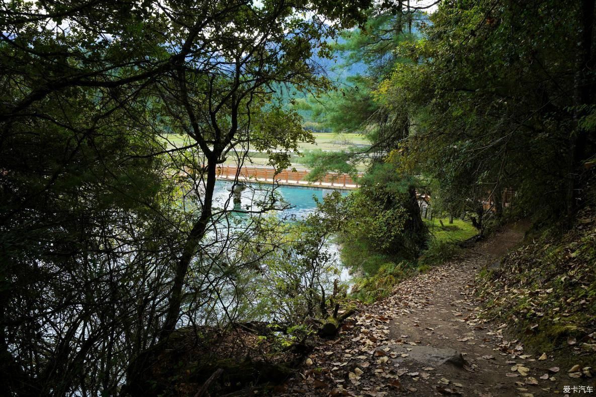 独自自驾游 欣赏最美的岗云杉林 体验环藏之旅的慢生活