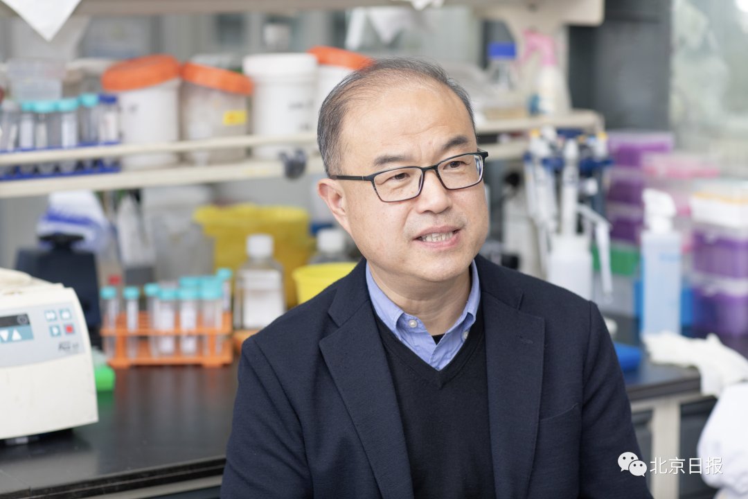 抗体|特效药来了！