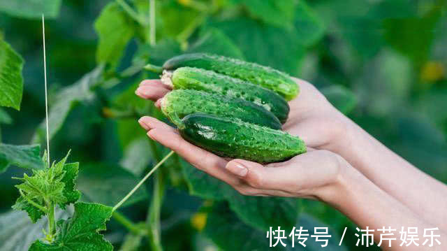 瓜氨酸|女性想要皮肤好,常吃3种蔬菜,减脂瘦身、清肠通便,皮肤也好!