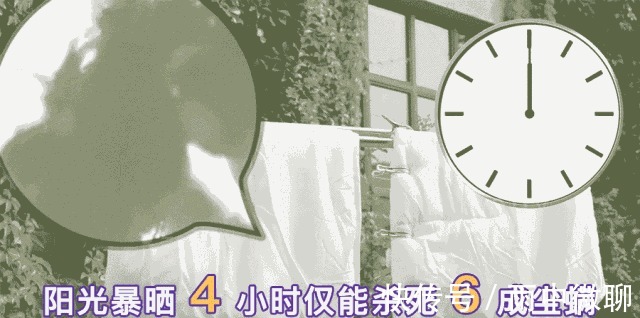 超声波|床上螨虫超级多生物专家不是风油精,不到一毛钱,螨虫死光光