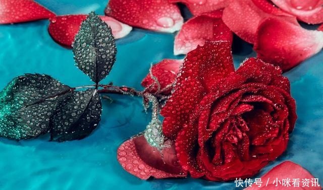 真正的有缘人,是分不开的