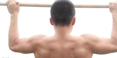 身体机能|为何要常做俯卧撑?男性每天做40个俯卧撑,好处多到你想不到