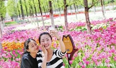 李静离开央视后,创业身价十亿,却被信任的保姆背叛