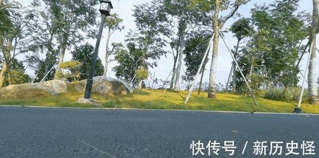 跑鞋 这一双全能跑鞋真心不错!