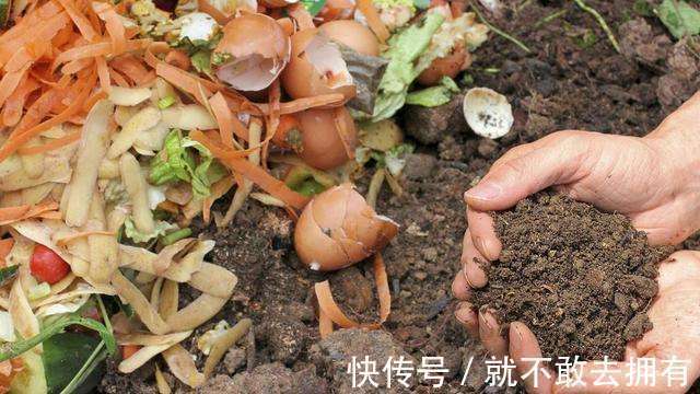 换盆的旧土别扔！加点“烂东西”，肥沃流油，养啥花旺啥花