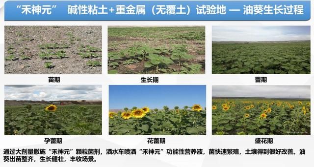 修复|矿山微生物生态修复技术交流会圆满召开