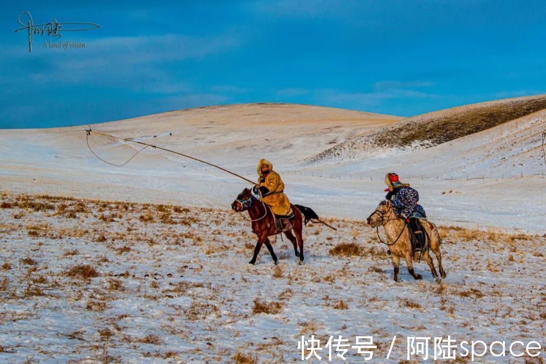 马群|威武雄壮是套马汉子的代名词，他们的工具却大部分都被湿牛粪捂过