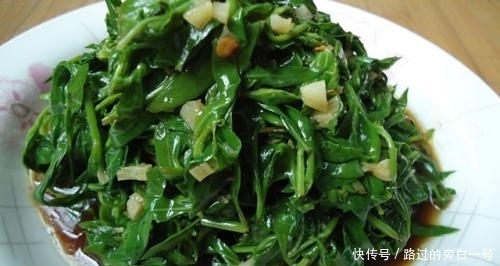 农村|农村常见的6大野菜排名,看看你吃过哪几种!