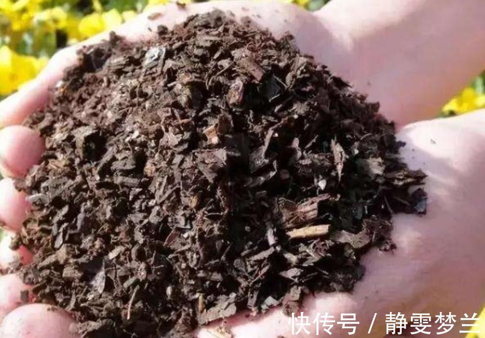 养分|旧花土不要扔,简单处理,掺上几种料,又成很好的“营养土”