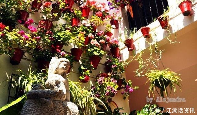 不一样的“庭院花园”，花草都上了墙