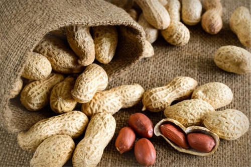 营养师|被称“长寿果”的花生,营养价值高,营养师:这“4类人”不宜吃