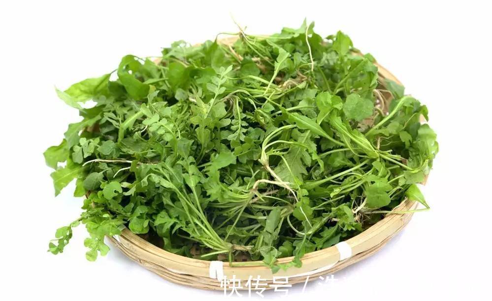 补钙|夏天补钙首先新鲜蔬菜,纯天然又便宜,吃一些补充钙质强健身体