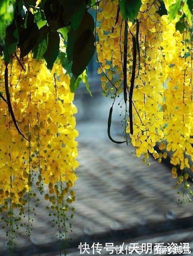 雅量#佛家一句话,胜读十年书!多读开悟才是正道