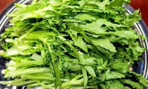 凉拌苦菊|苦瓜冬瓜靠边站,经常上火多吃这菜,维C含量极高,常吃对眼睛好