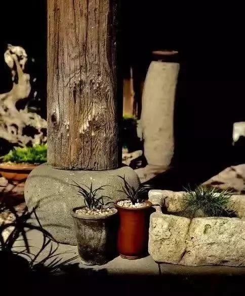 一些山石,美了整个院子