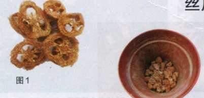  不烂|捡点垃圾放花盆，花儿舒舒服服，十年不烂根，花开枝繁叶茂