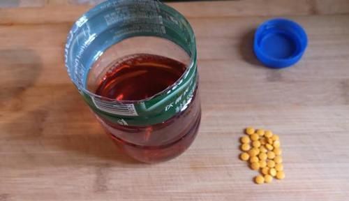 冬季钓鱼的诱鱼之道，用这几种方法，能把远处的鱼群“请”进窝