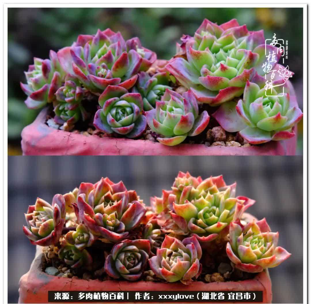 时光匆匆,一闪而逝,这世间万物的美,都值得被记录!