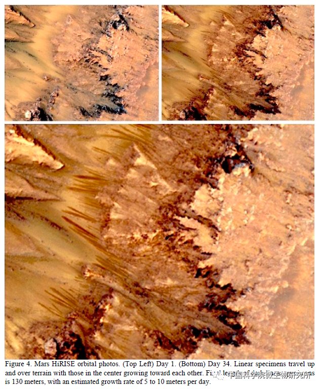 非生物 火星上存在真菌吗？